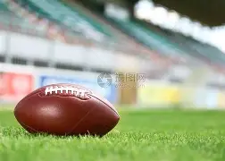 橄榄球引发投注狂潮，赔率走势成谜的简单介绍