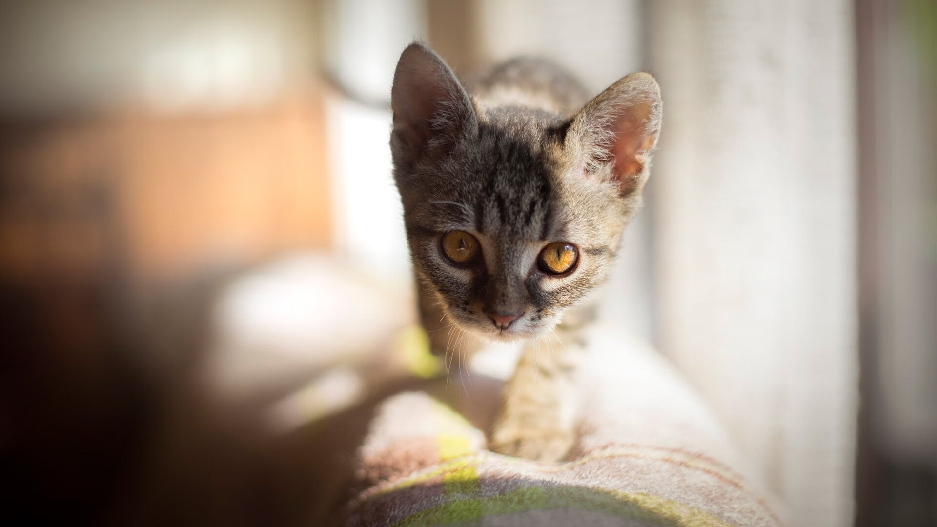 雪山雄鹰踏碎盐湖城,生死战之夜,吉林铸就冰与火传说