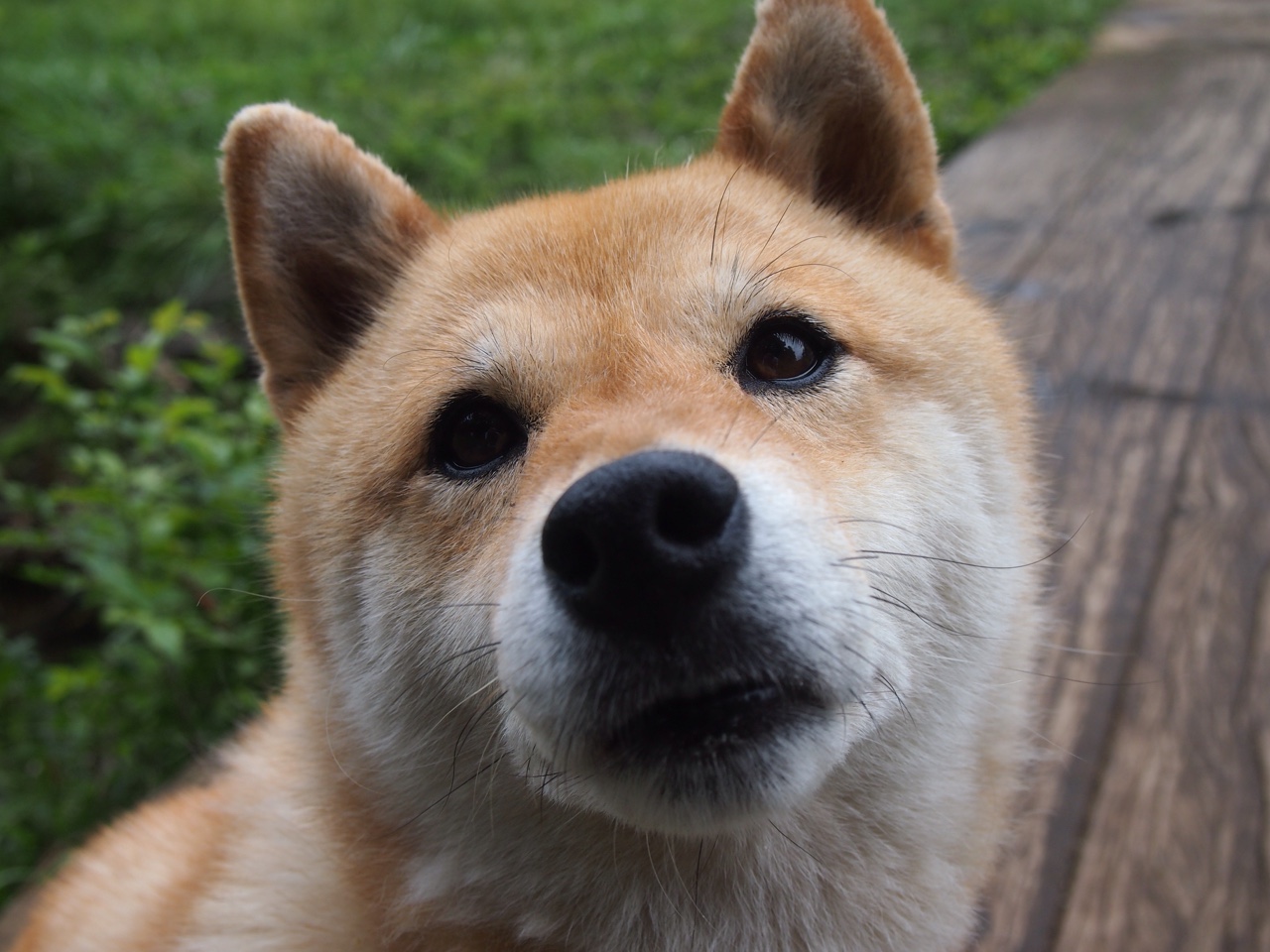 唯一性胜利，富安健洋如何重新定义统治全场