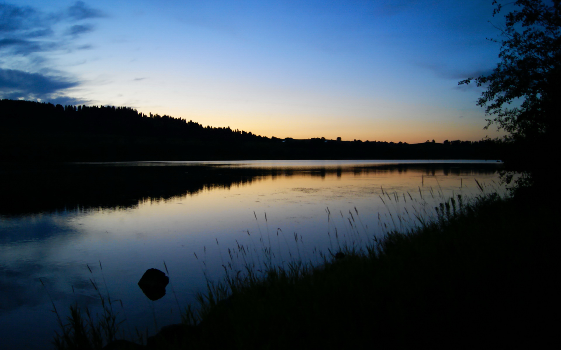 开云体育登录-单节风暴与孤胆英雄，当猛龙撕裂篮网，布伦森在纽约接管时代