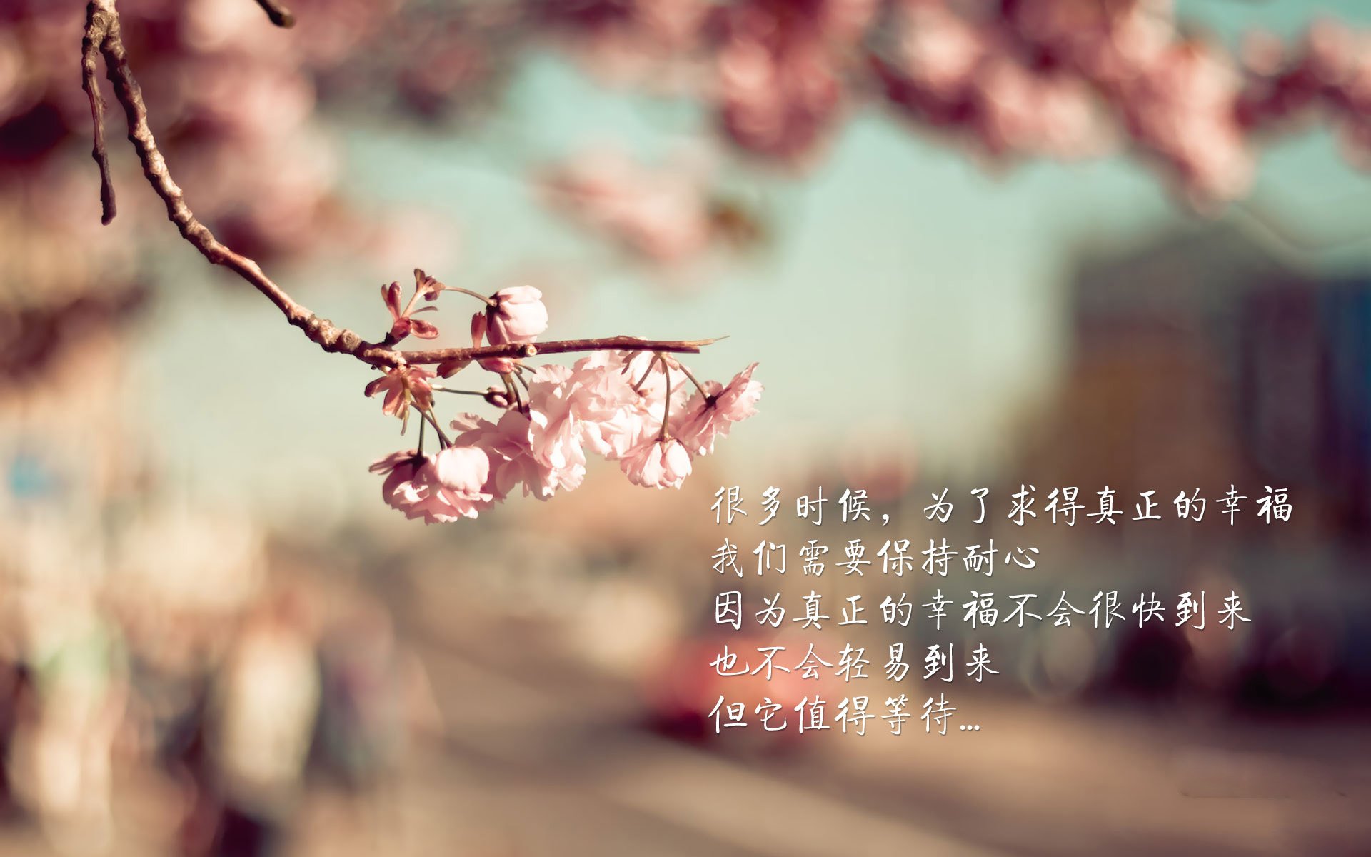 开云体育官网-颠覆与加冕，西亚卡姆在总决赛史诗之夜