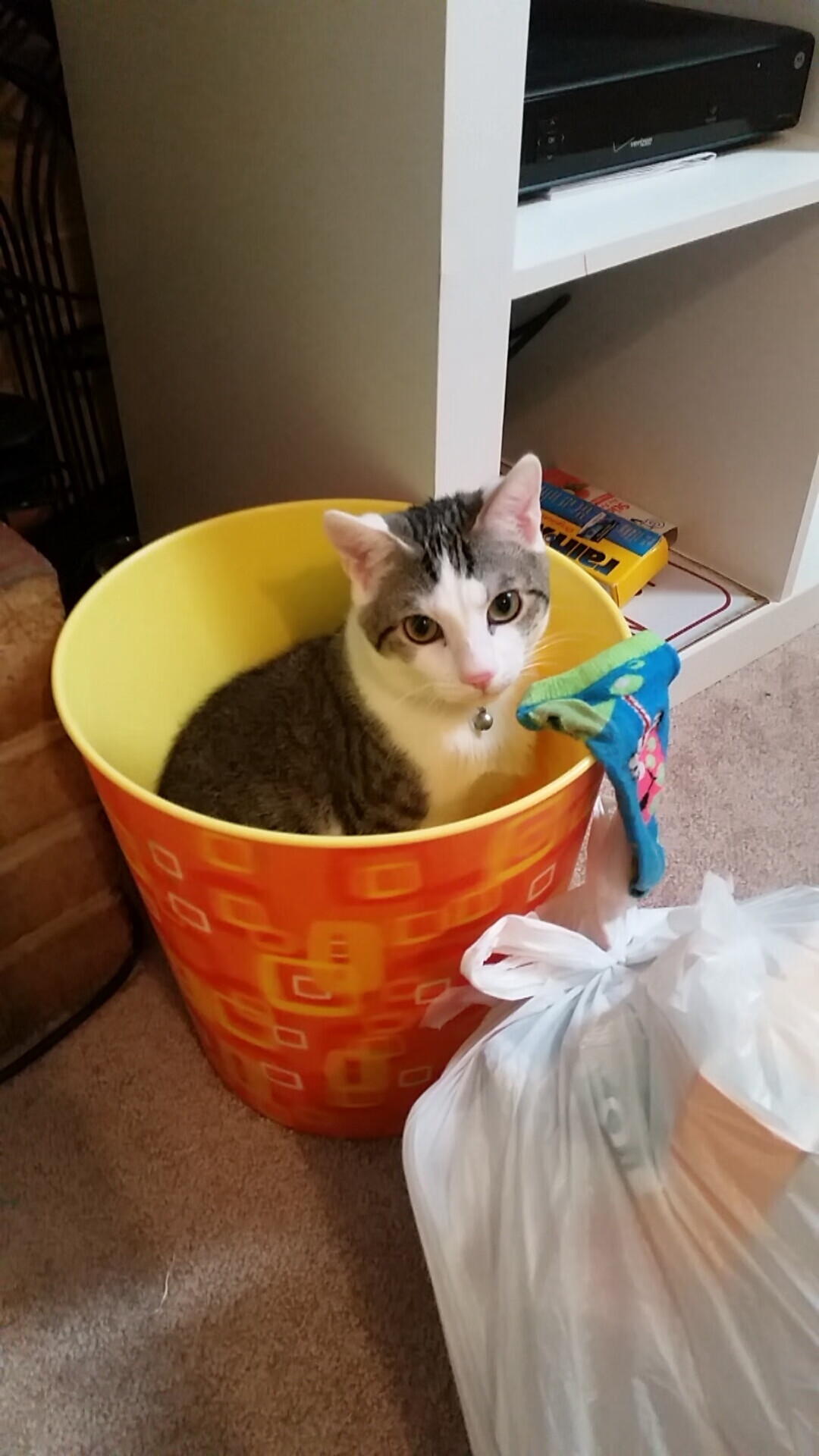 跨越千年的篮筐，当罗马鹰旗在拉巴斯球场升起