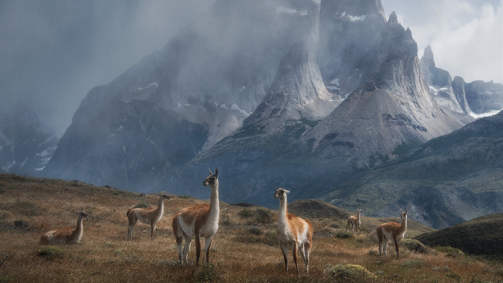 开云体育登录-独狼非独行，爱德华兹王者之怒带队横扫吉林