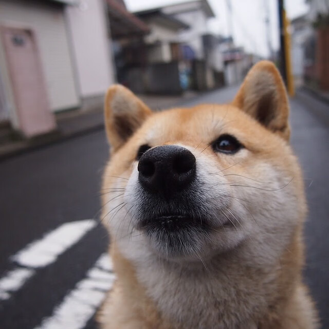 开云体育入口-双城记，西甲国家德比之夜，塔图姆惊艳四座
