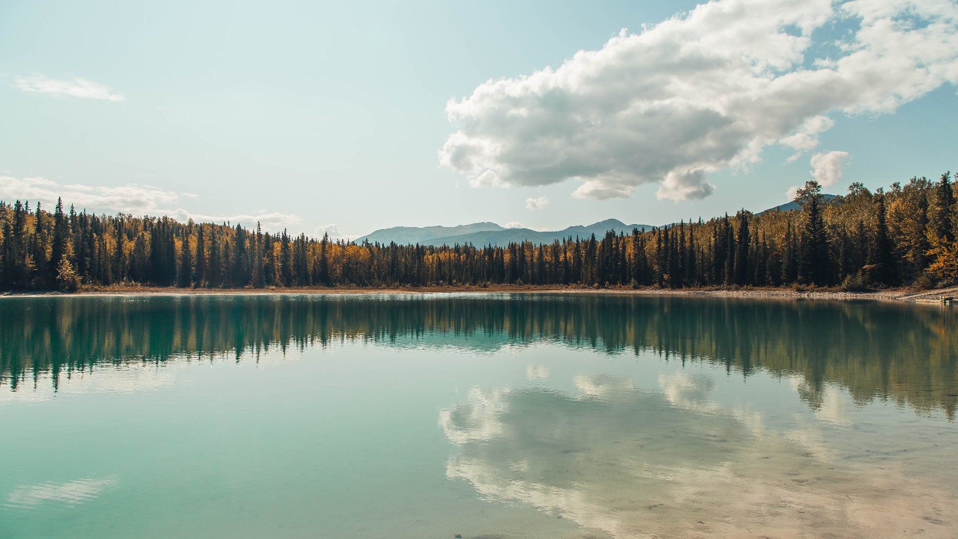 当国王在联合中心下跪,公牛铁蹄如何踏碎萨克拉门托最后的骄傲