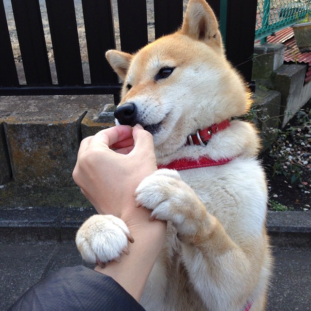 开云体育平台APP-寂静时代的洪钟，伦纳德用一场非典型比赛，重新定义统治力