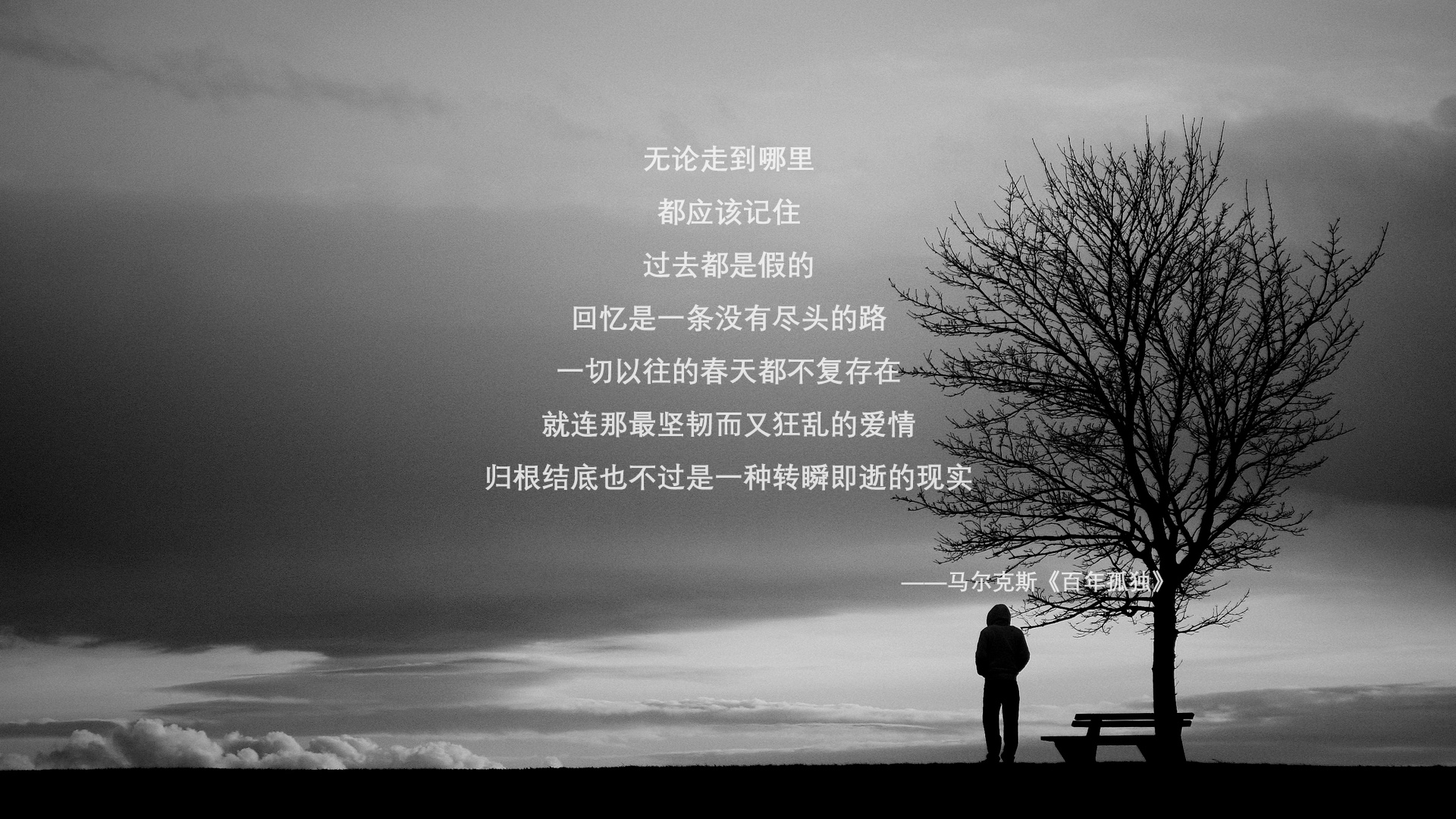 孟菲斯之夜,当世界杯狂热遇见灰熊铁蹄