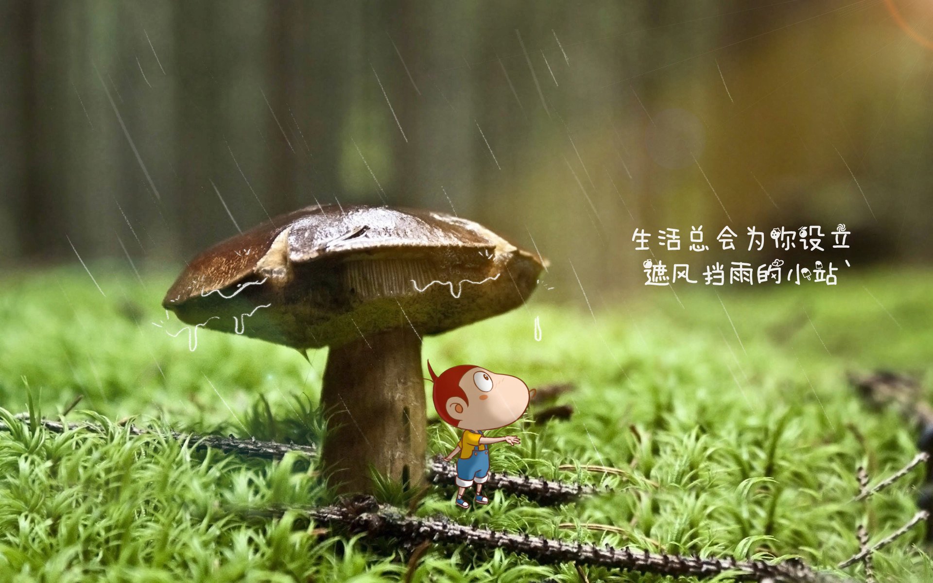 潘帕斯雄鹰折戟河内,越南足球点燃2026世界杯第一把火