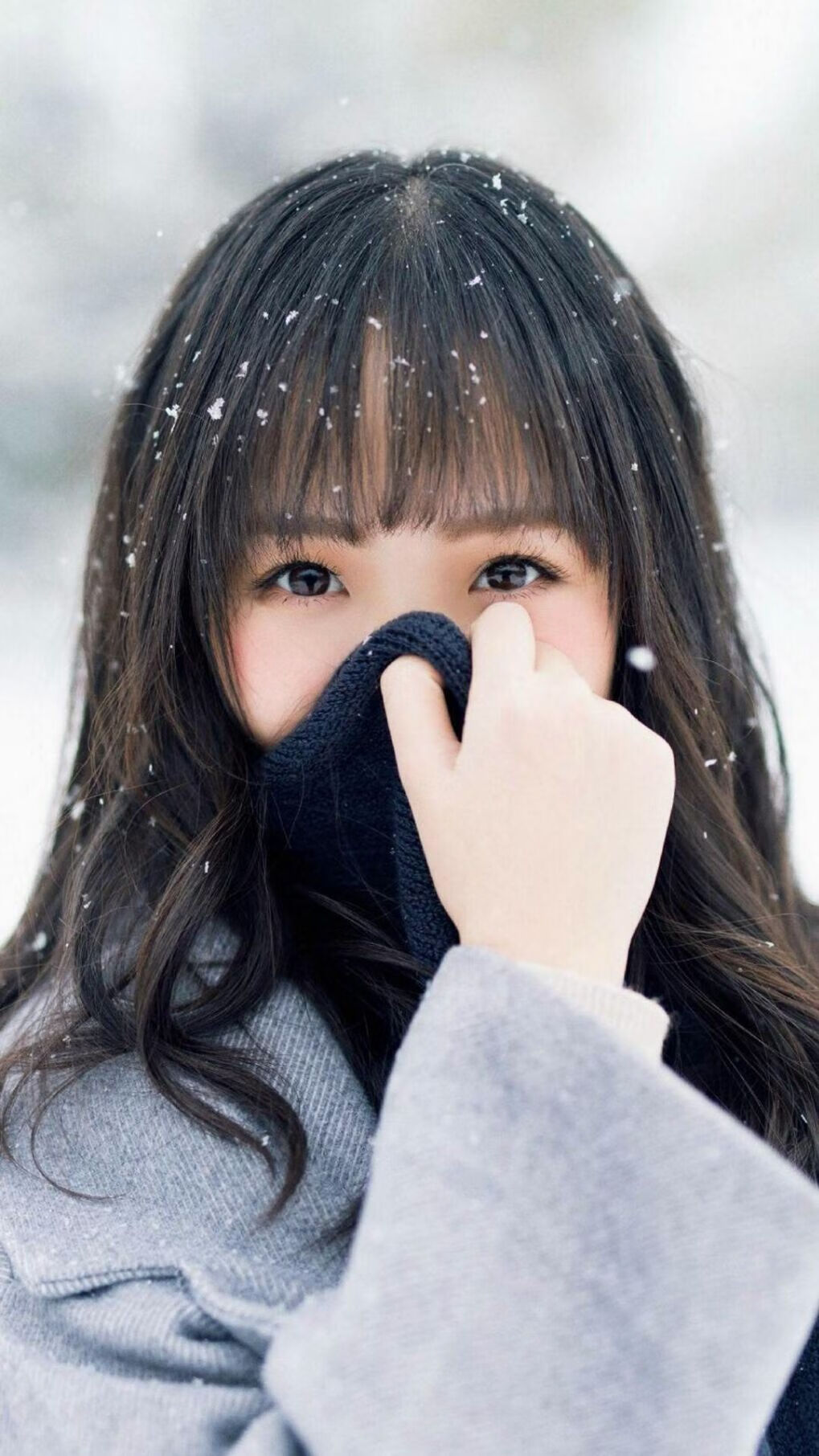 新宿的炼金术,当蓝武士的精密齿轮,碾碎东欧铁骑的狂想曲
