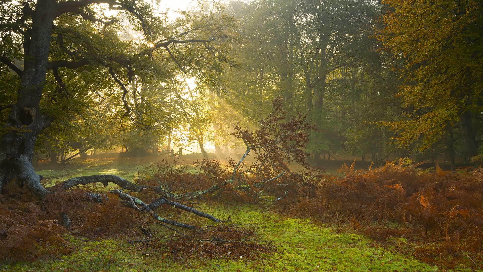 孤篇破局,当费利克斯的26秒,定义了A组唯一的胜利
